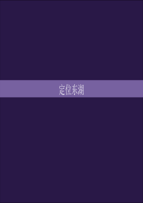 东湖风景名胜区概念规划-武汉市城市规划设计研究院阿特金斯
