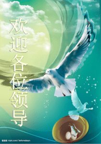 初三主题班会《理想,行动,成功》