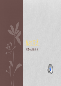 13演示文稿1