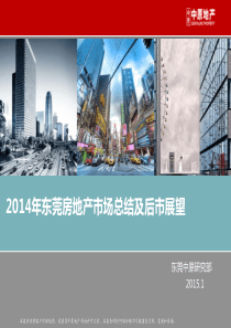 东莞中原：2014年东莞房地产市场总结及后市展望分析报告(客户版)