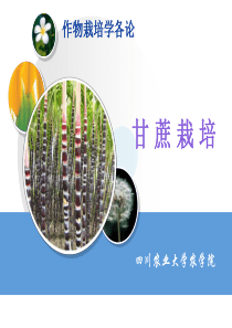 甘蔗栽培 (NXPowerLite)