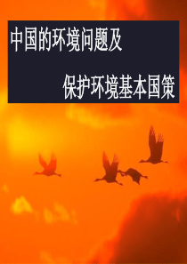 2-23-3 环境亮起黄牌