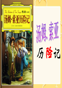 人教版《汤姆索亚历险记》课件ppt