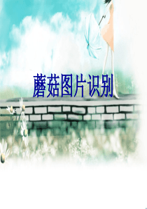 蘑菇图片识别