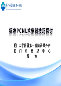 标准PCNL术穿刺技巧探讨