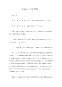 劳动合同(完美版展示)