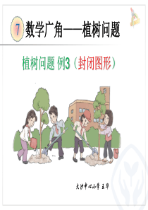 封闭图形的植树问题 课件