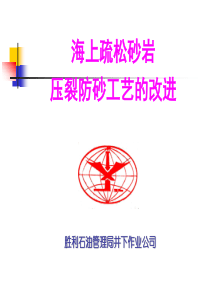 2-海上疏松砂岩压裂防砂工艺的改进