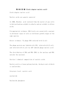 第六章 核 酸(Sixth chapter nucleic acid)