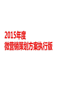 2015年微营销策划方案执行版