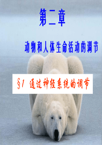 人和高等动物生命活动的调节
