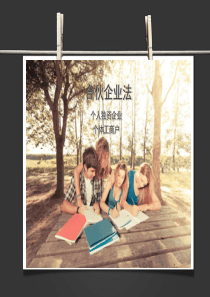 合伙,个人独资,个体工商户企业法