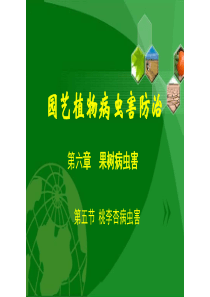 园艺植物病虫害防治6.5