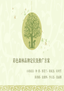 彩色森林策划完整版