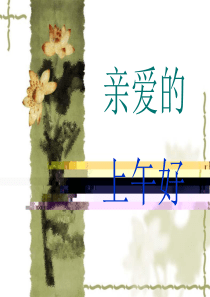 餐饮产品信息概述
