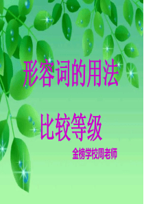 最实用的形容词用法课件