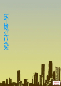 环境污染.ppt