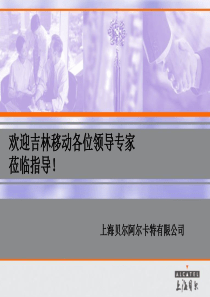 BTS-机架类型(alcatel现有机架)