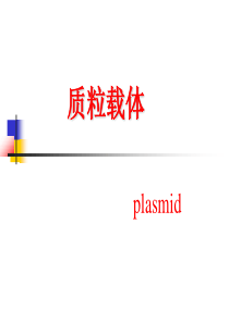 3.质粒载体