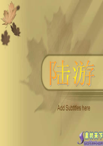 陆游