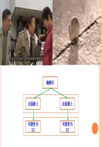 第4章 概率分布913final