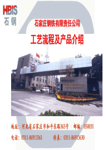 石钢工艺流程及产品介绍2010.4.10