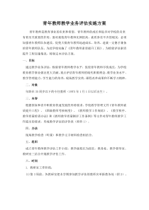 青年教师教学业务评估实施方案