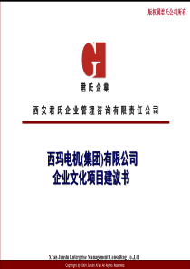 E6(集团)有限公司企业文化项目建议书