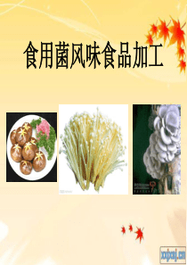 第十八讲食用菌风味食品加工