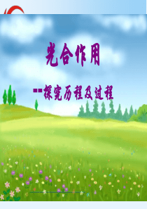 人教版高一必修一5.4《能量之源--光与光合作用》课件.