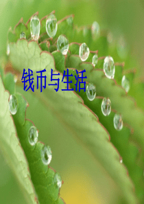 货币的起源、发展、演变与未来