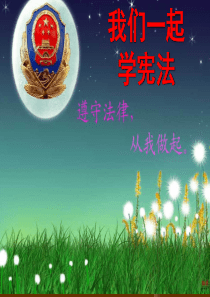 49小学生宪法知识讲座