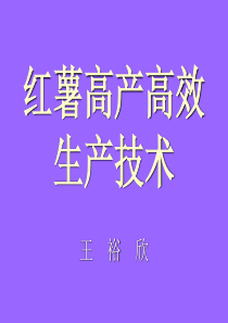 红薯高产高效生产技术