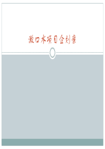 漱口水项目企划案160303new