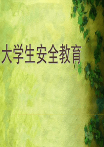 大学生安全教育 PPT课件