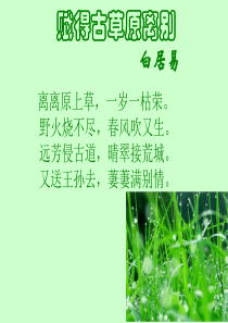 人教版初一语文朱自清《春》课件(完成版)