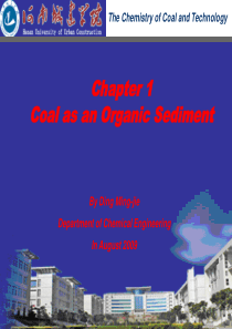 煤化学 英语课件  chapter 1 coal as an organic sediment - 