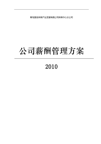 体育中心分公司薪酬方案(20108[1].30)