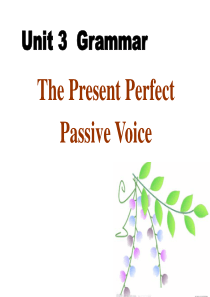 现在完成时的被动语态