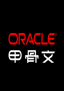 甲骨文《呼叫中心方案》47页