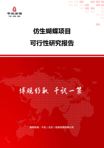 仿生蝴蝶项目可行性研究报告