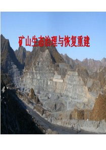 专题1矿山恢复技术