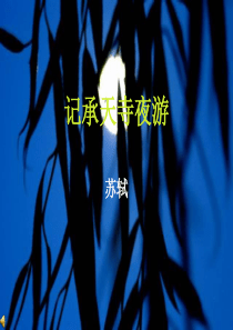 58记承天寺夜游