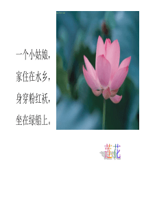 三年级科学《水生植物》