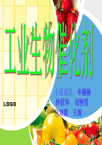 工业生物催化剂