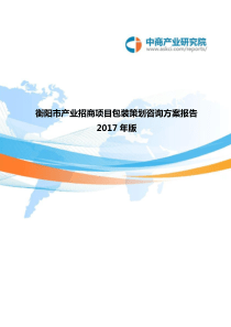 2017年版衡阳市产业招商项目包装策划咨询方案报告(目录)