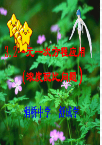 一元一次方程应用题浓度配比问题