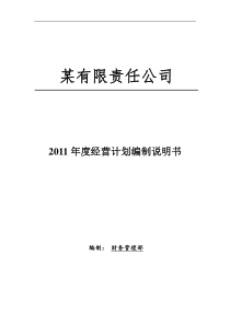 公司经营计划与预算手册