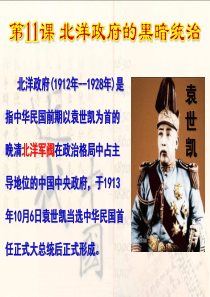 2017版11课北洋政府的黑暗统治