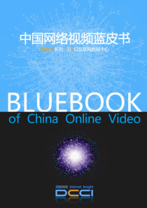 中国网络视频蓝皮书_DCCI互联网数据中心